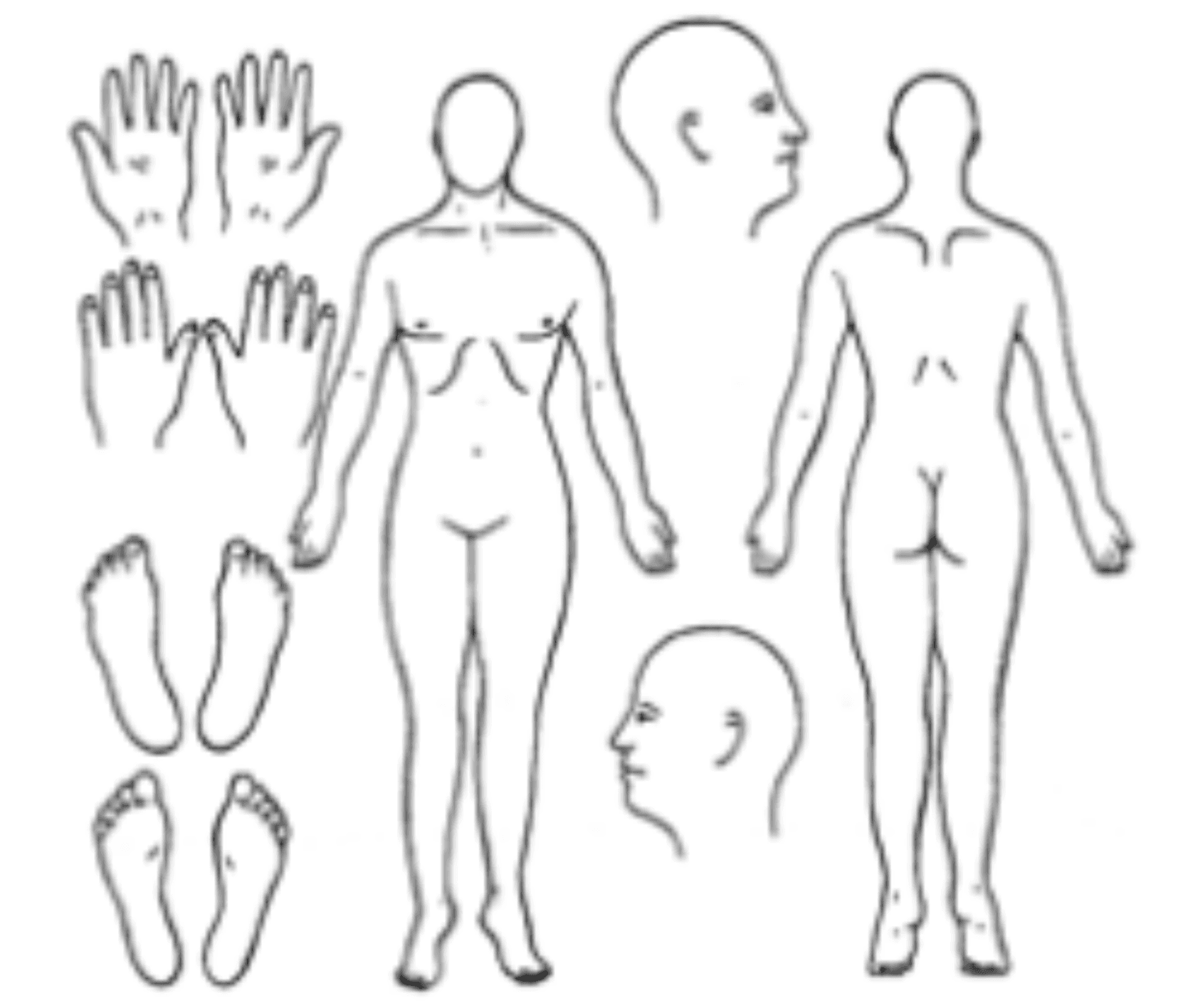 Body diagram with hands, feet, head, front body, and back body